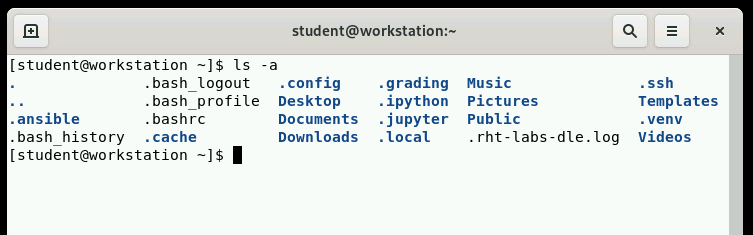 a command with an option