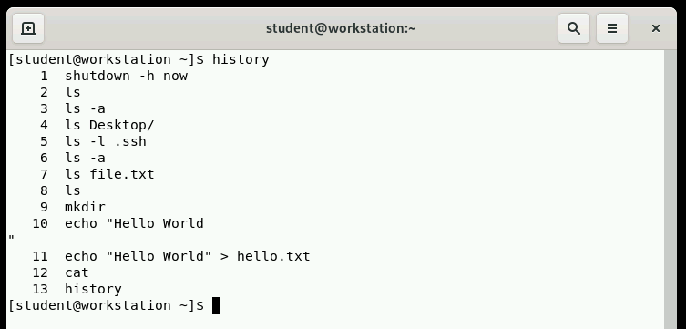Bash history