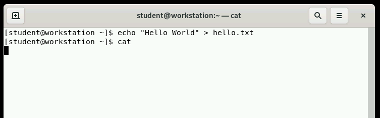The terminal is unresponsive.