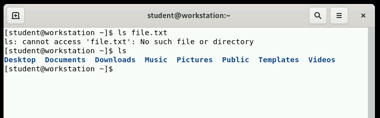 Using the ls command to troubleshoot.