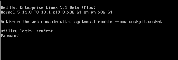image of a text-based login screen